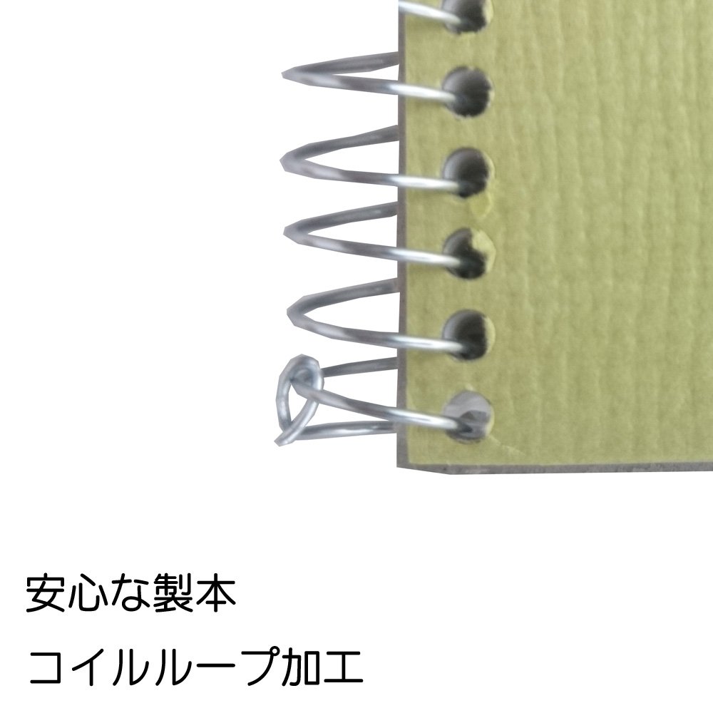 Maruman Olive Series Artbook, F4, 13.27" x 9.92", Sketchbook with 20 Sheets of Thick Textured Acid-Free Drawing Paper, Spiral Bound with Ribbon Tie Closure, Durable Board Cover, Made in Japan - Image 3