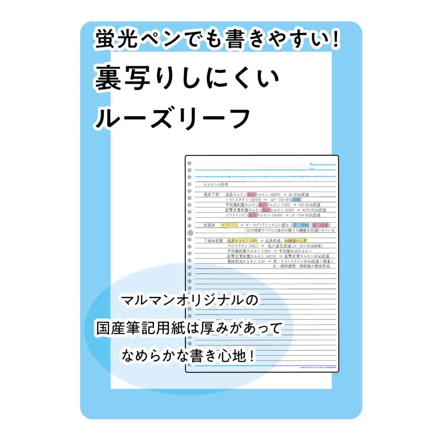 Maruman Session 30‑Ring Binder with Flexible Translucent Cover, A4 Size, 8.27" x 11.69", Includes 5 Erasable Tabbed Dividers and Storage Pocket, Holds up to 90 Sheets, Dark Blue, Made in Japan - Image 7