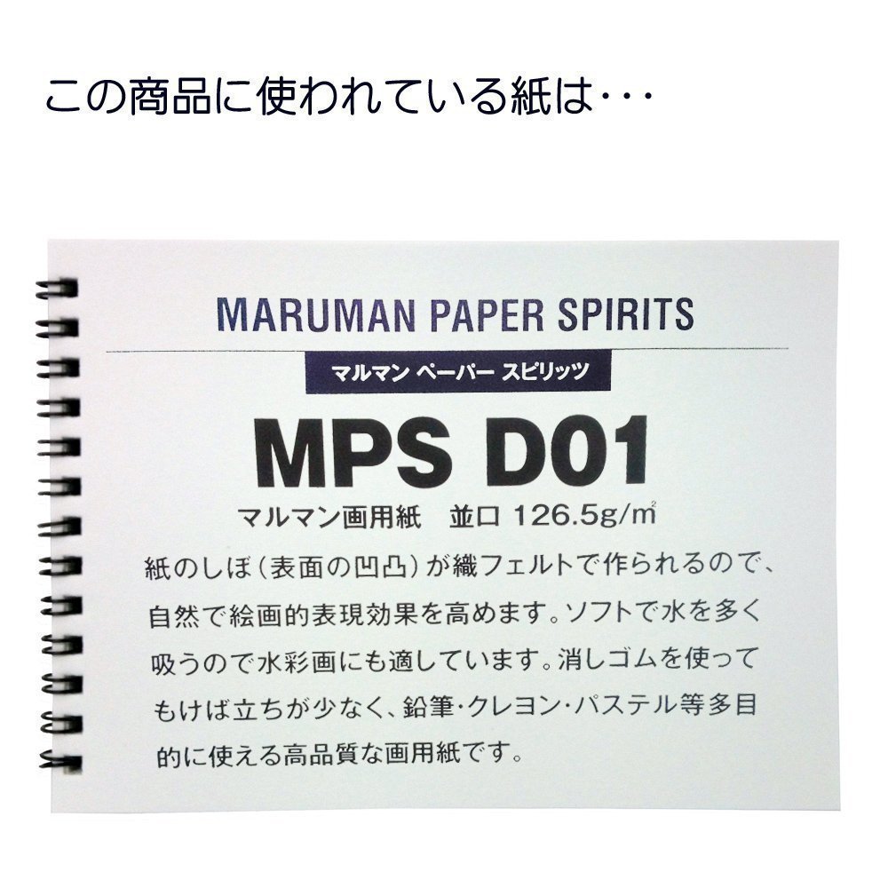 Maruman Sketchbook Coloring Books Pattern Series A3 5 Reams s115x5 Set - Image 3