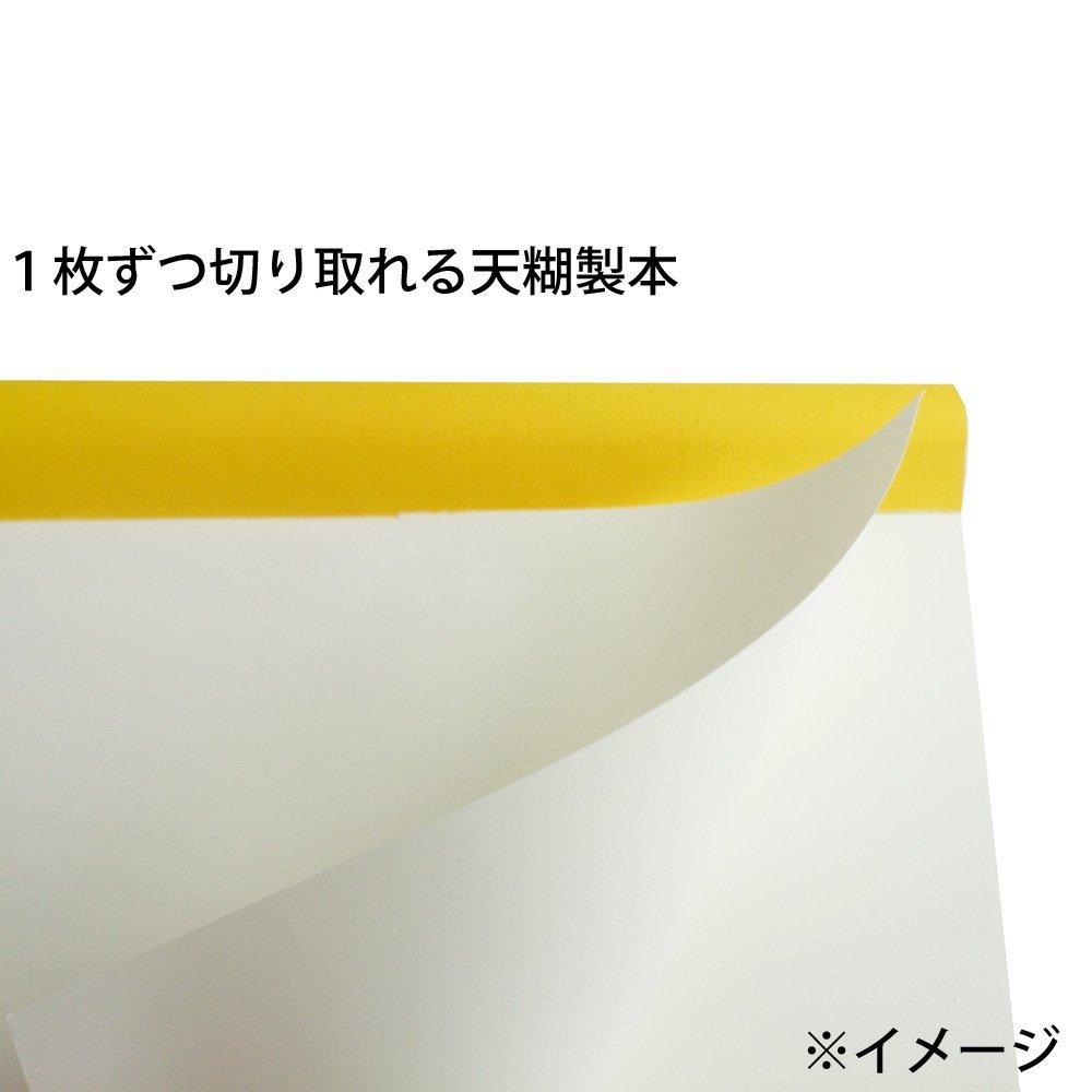 Maruman Soho Sketchpad, B4, 9.88" x 13.86" Portable Drawing Paper Sketchbook Pad, 100 Sheets Heavyweight Acid-Free Paper for Sketching, Charcoal, Pen, Pencil, and Pastels, Green, Made in Japan - Image 4