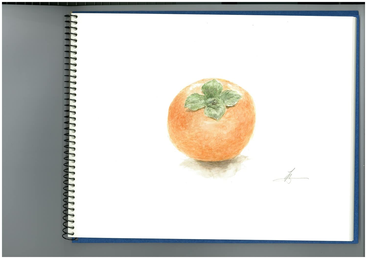 Maruman VifArt Watercolor Artbook- Premium Fine Watercolor Paper, Natural White, F4, 13.5" x 10.35", 15 Sheets/ 30 Pages, Reinforced Cover Sketchbook for Watercolor & Mixed Media, Blue - Image 9