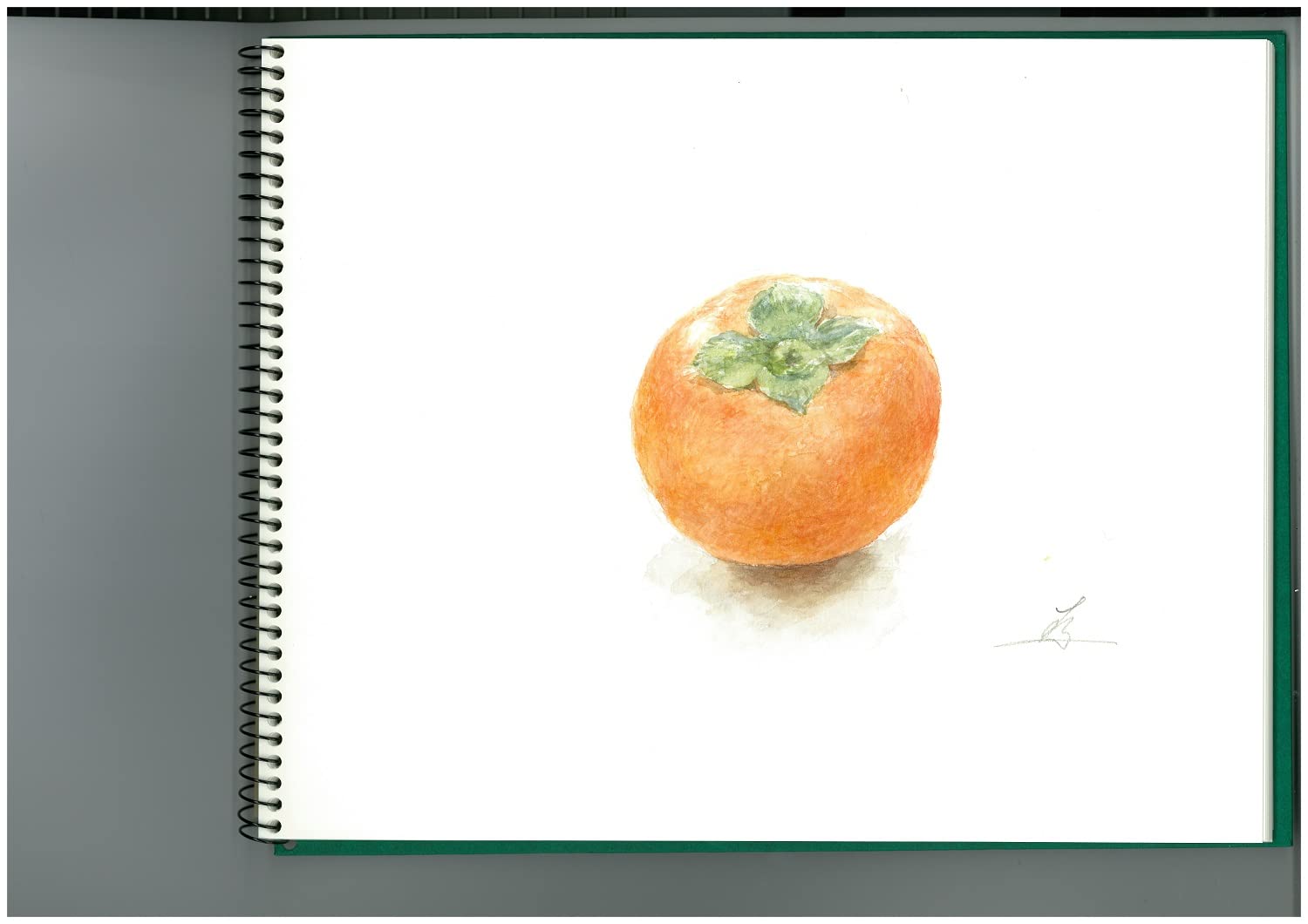 Maruman VifArt Watercolor Artbook- Premium Medium Watercolor Paper, Natural White, F3, 9.02" x 11.57", 15 Sheets/ 30 Pages, Reinforced Cover Sketchbook for Watercolor & Mixed Media, Green - Image 10