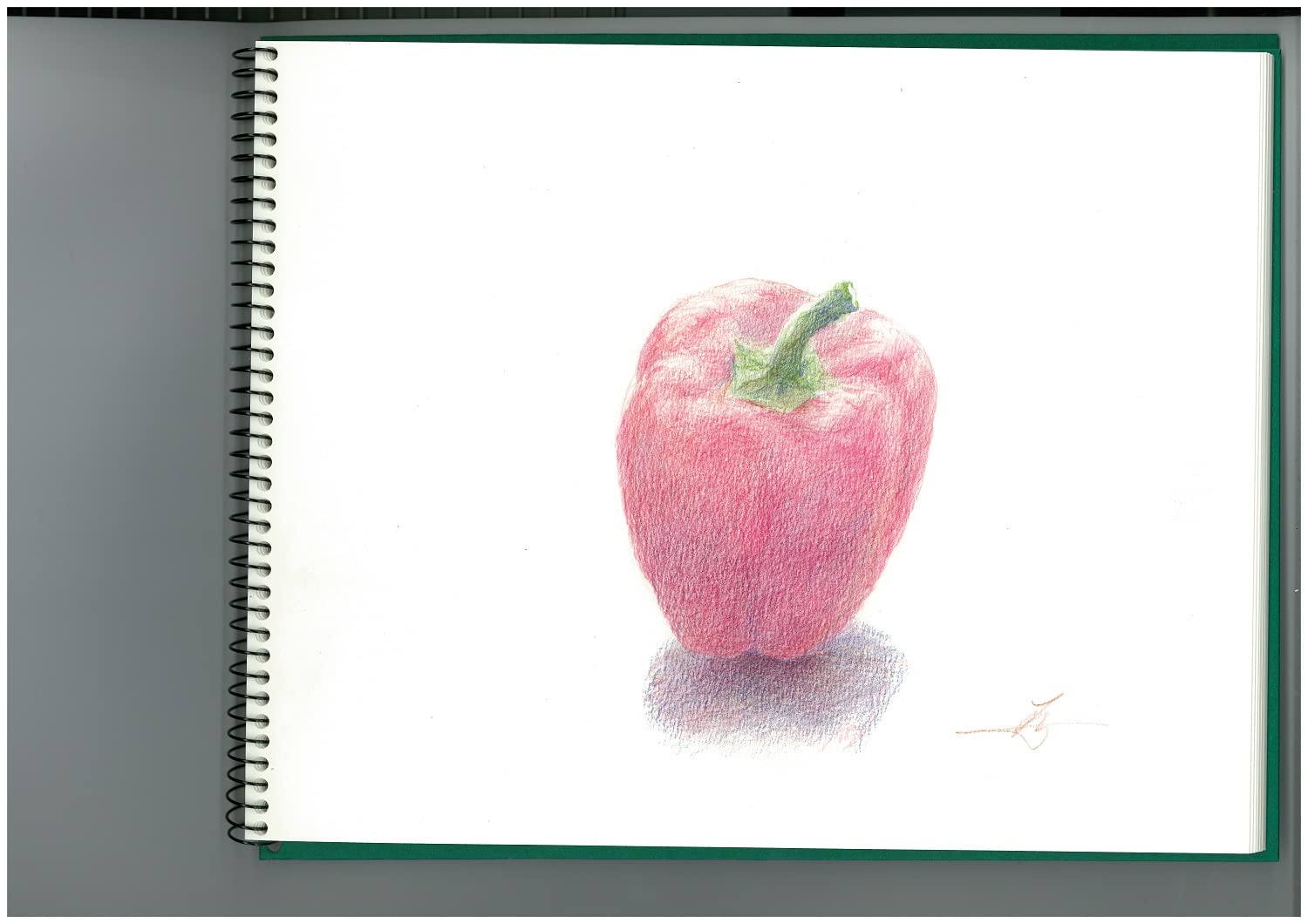 Maruman VifArt Watercolor Artbook- Premium Medium Watercolor Paper, Natural White, F3, 9.02" x 11.57", 15 Sheets/ 30 Pages, Reinforced Cover Sketchbook for Watercolor & Mixed Media, Green - Image 9